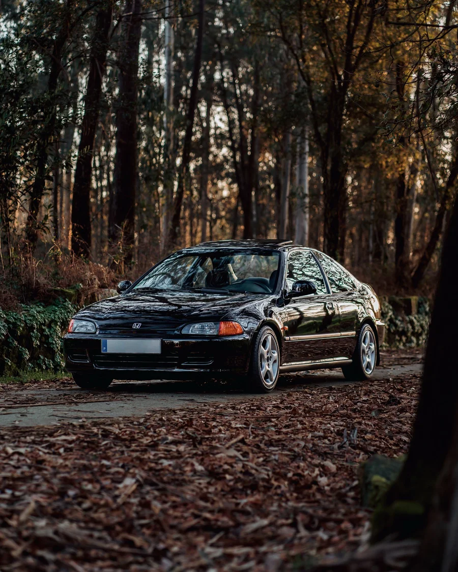 Civic Exterior 3